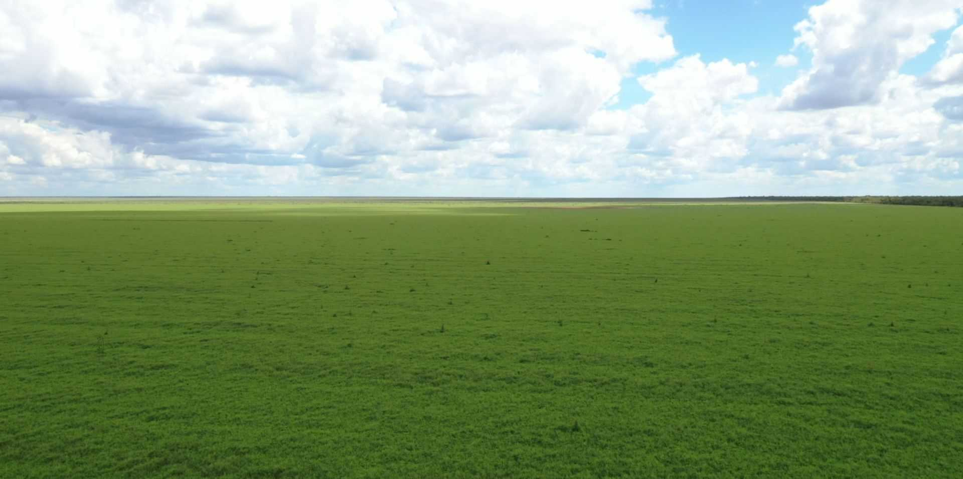 cattle property for sale NT