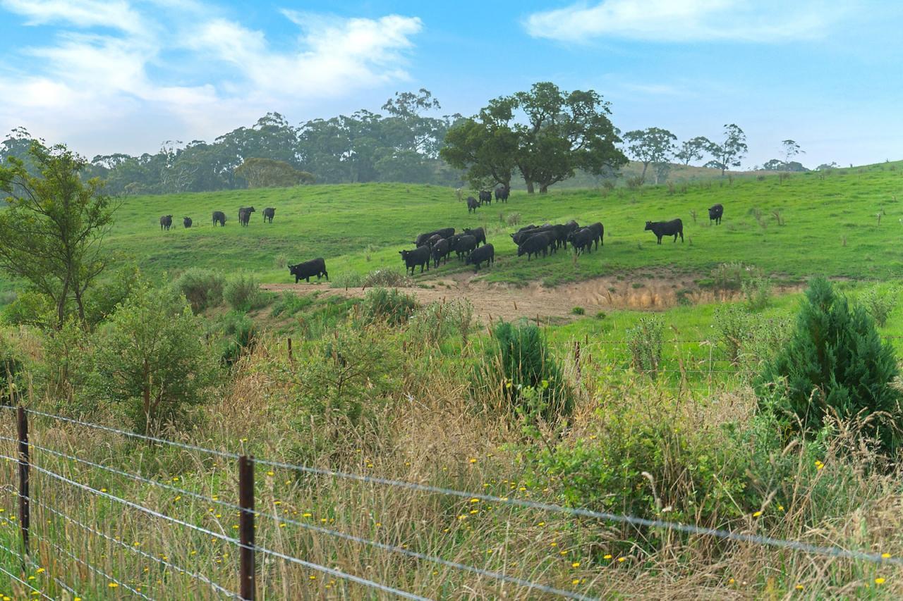 Rural Property For Sale NSW Central Tablelands