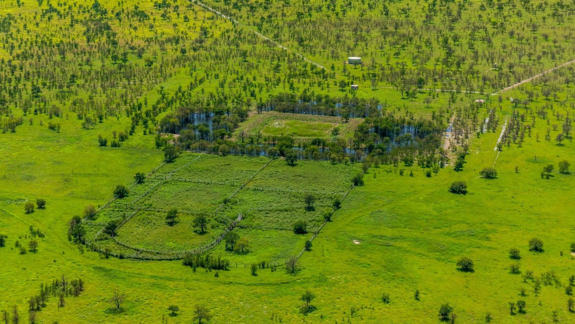 Cattle Station For Sale Northern Territory