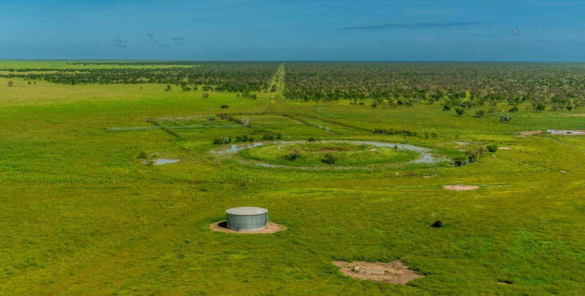 Cattle Station For Sale Northern Territory