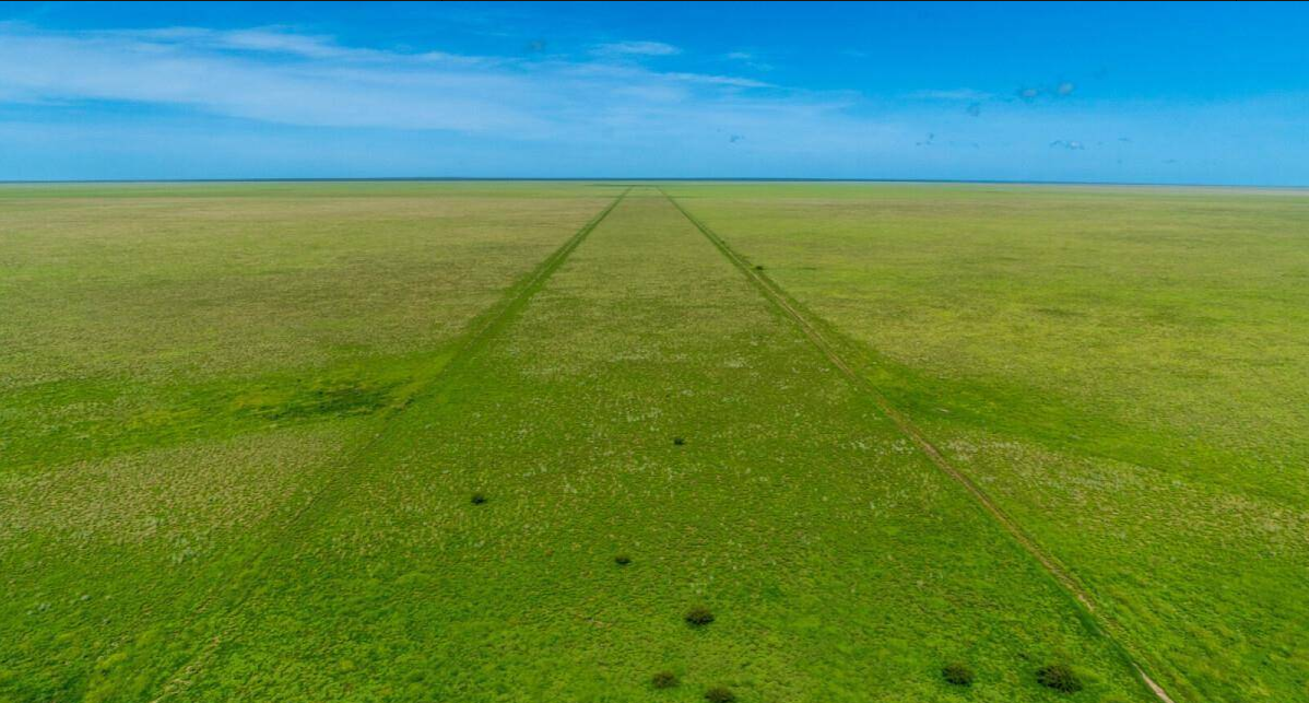 Cattle Station For Sale Northern Territory