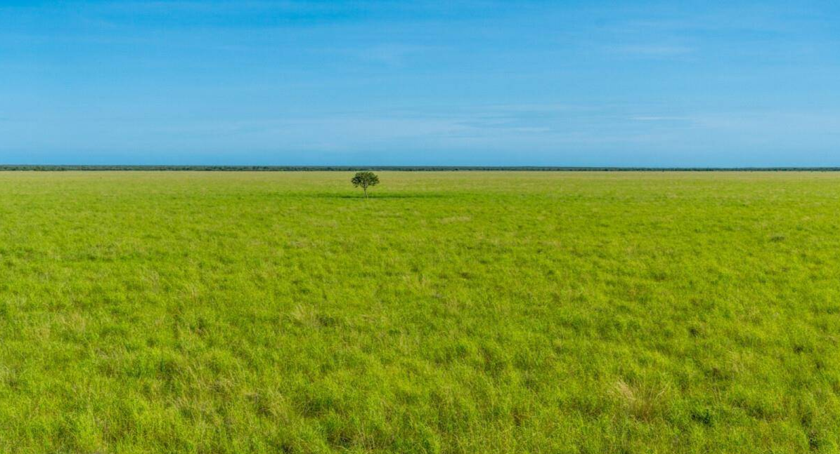 Cattle Station For Sale Northern Territory