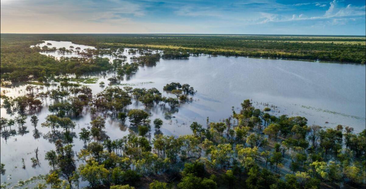 Cattle Station For Sale Northern Territory