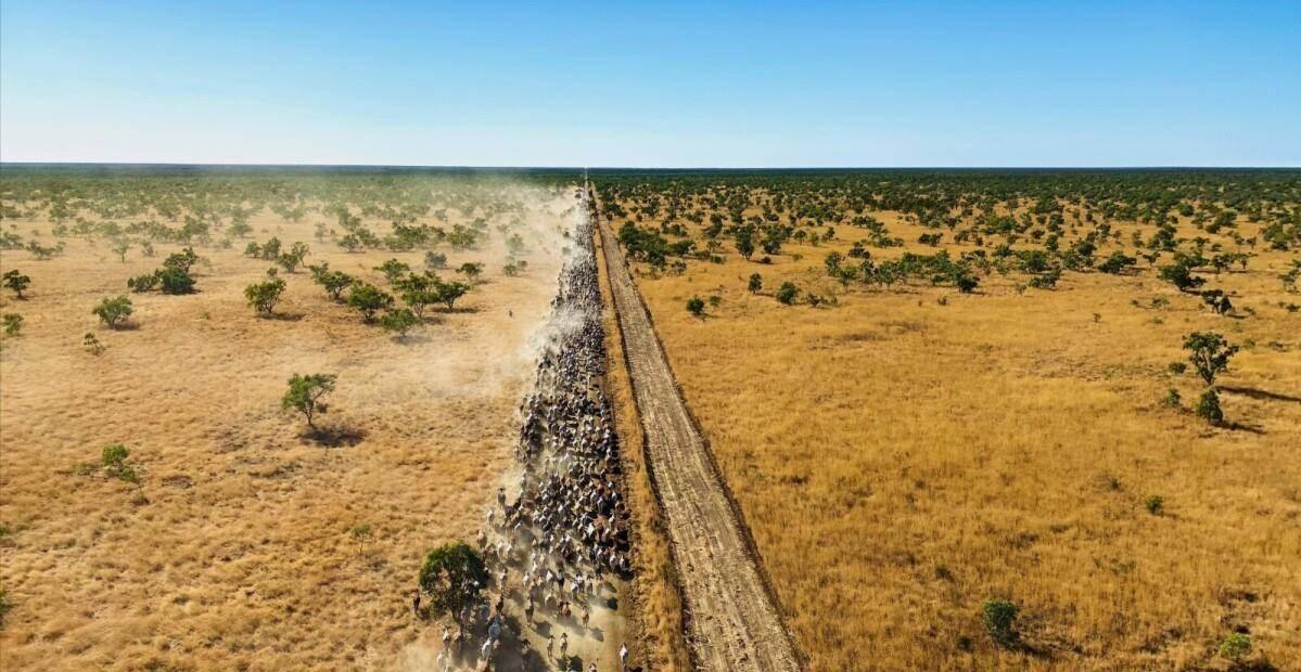 Cattle Station For Sale Northern Territory