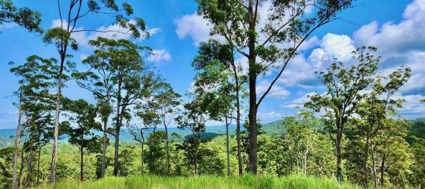 land for sale Sunshine Coast Hinterland