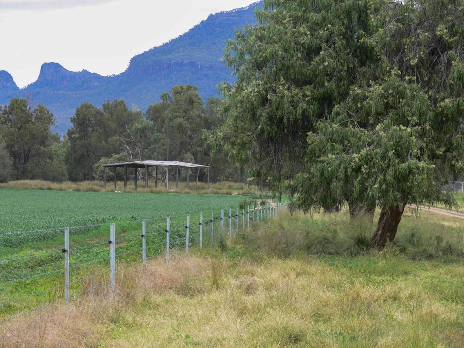 Cattle Property For Sale NSW
