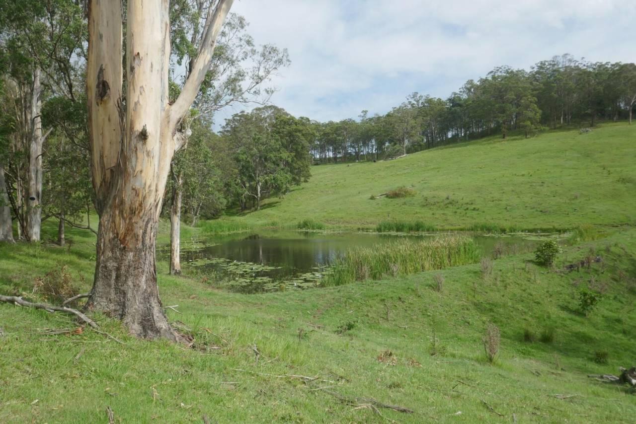 Farms For Sale Byron Bay