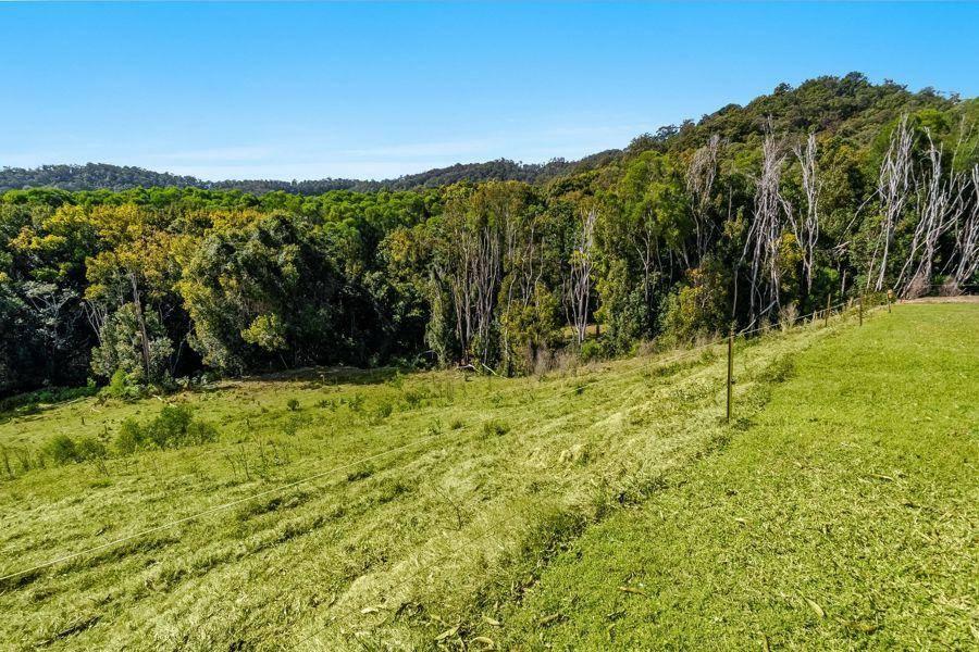 Farms For Sale Byron Bay