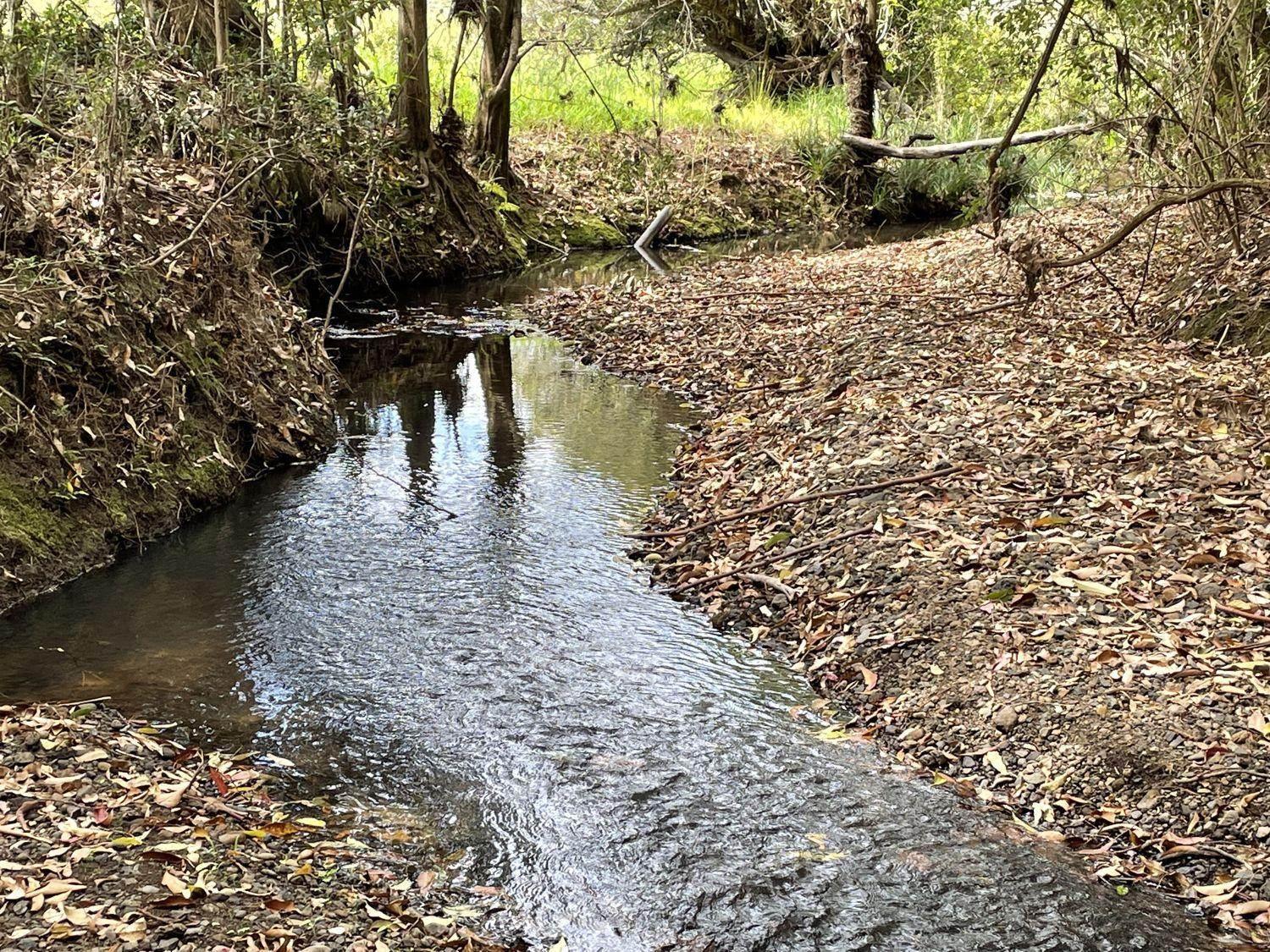 Farms For Sale Byron Bay