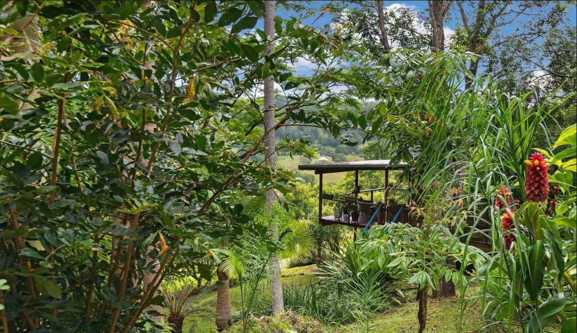 Farms For Sale Byron Bay