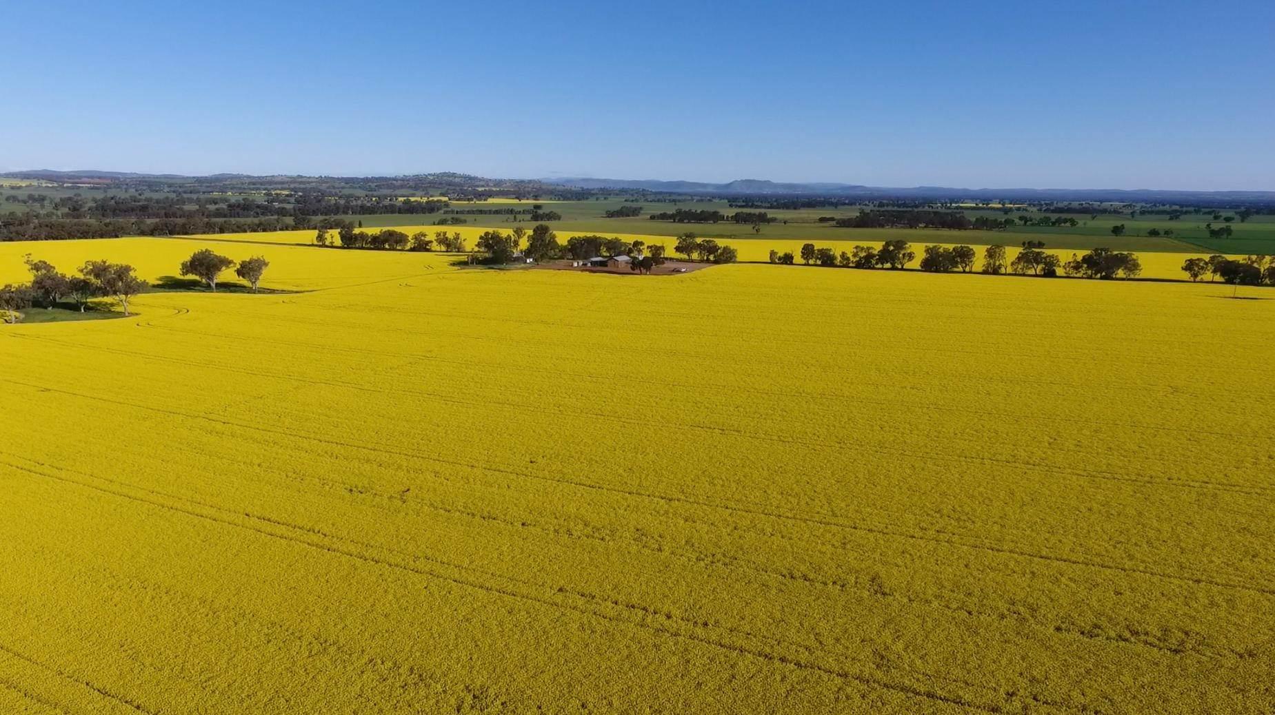 Farm Land For Sale Australia at Norman Edney blog