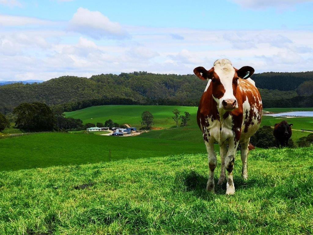 farm for sale Tasmania