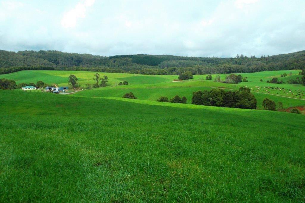 farm for sale Tasmania