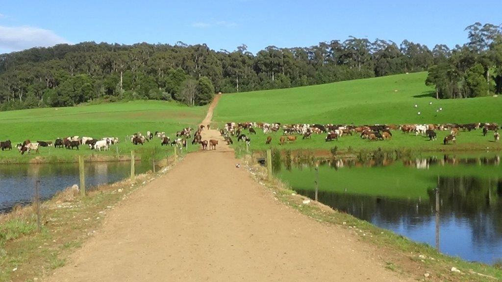farm for sale Tasmania