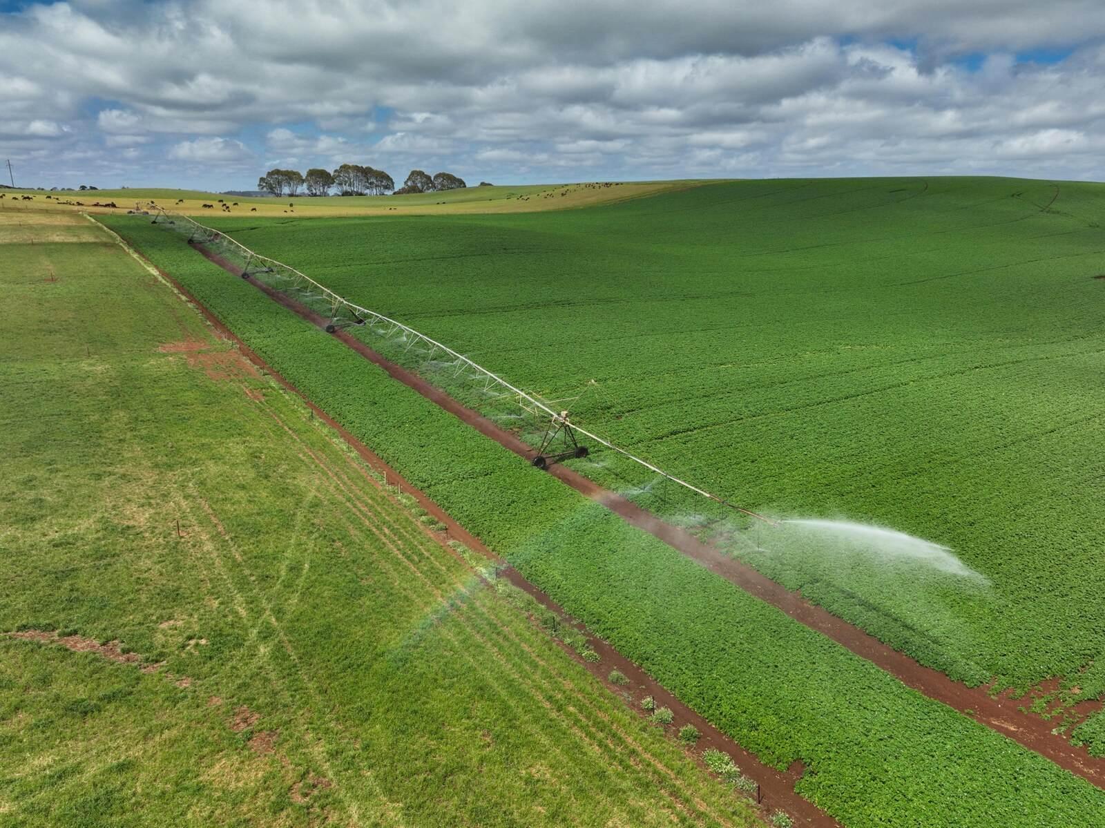 Farms For Sale Tasmania