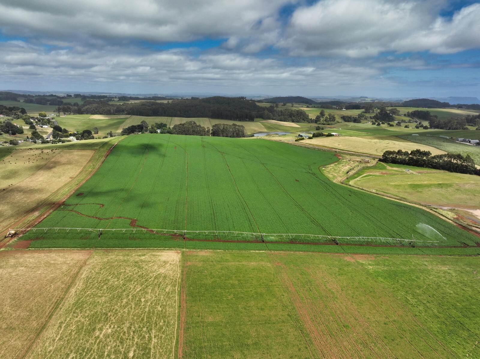 Farms For Sale Tasmania