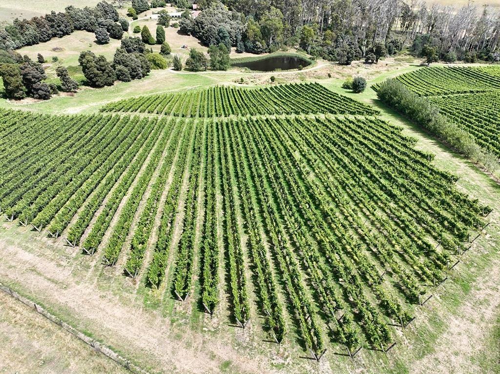 Farms For Sale Tasmania