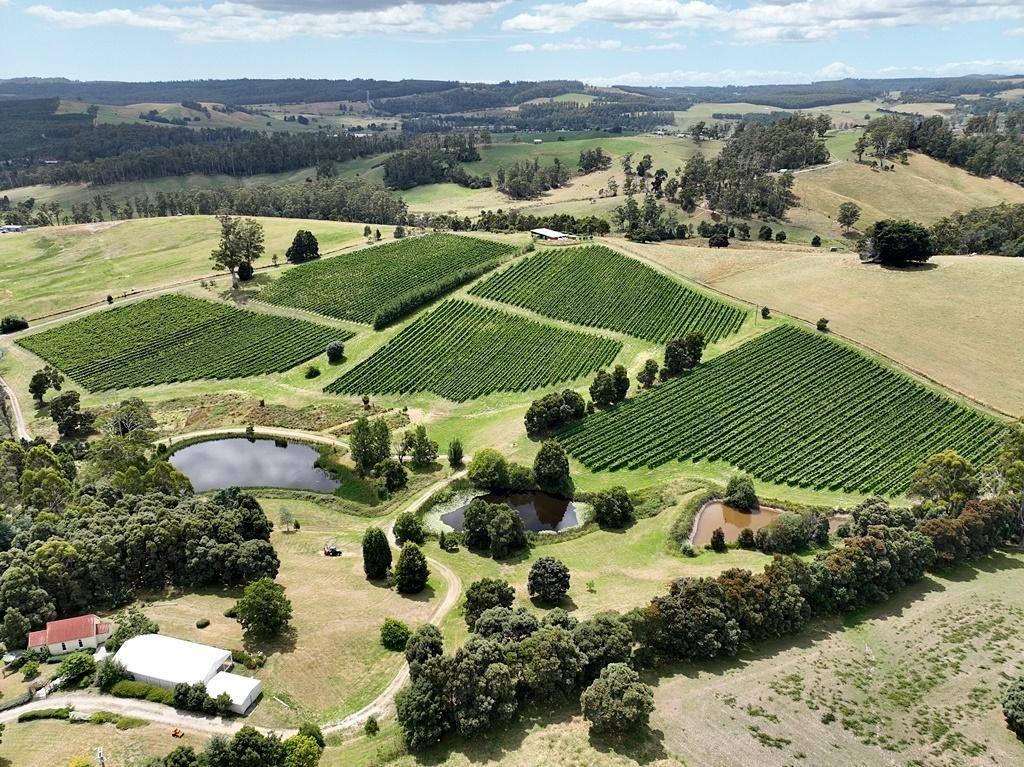 Farms For Sale Tasmania