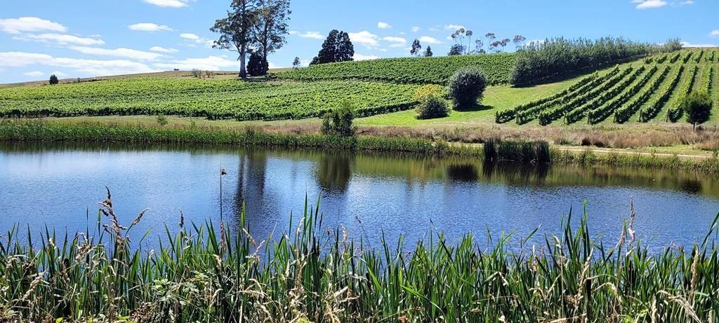 Farms For Sale Tasmania