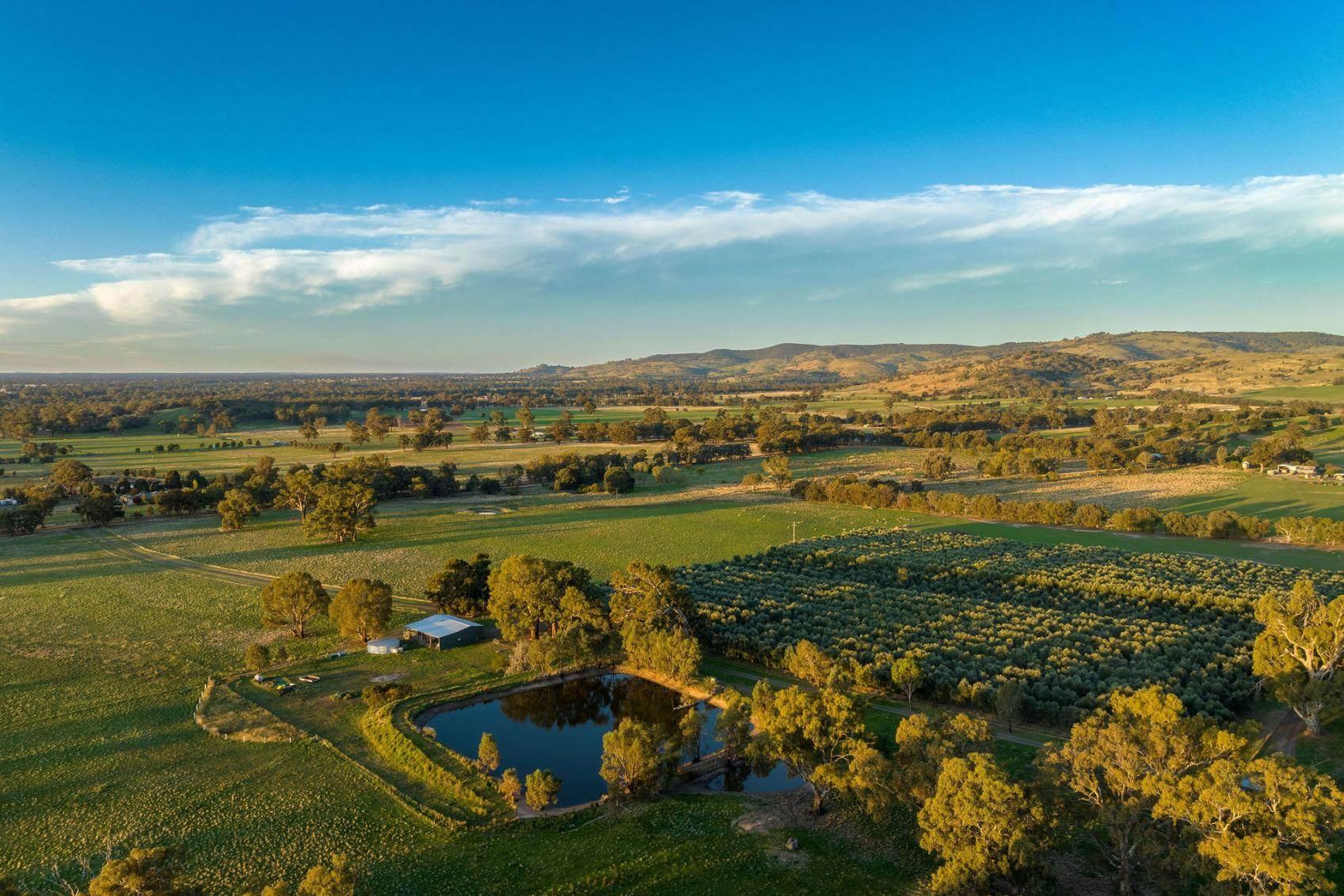 Best Hobby Farms For Sale Victoria