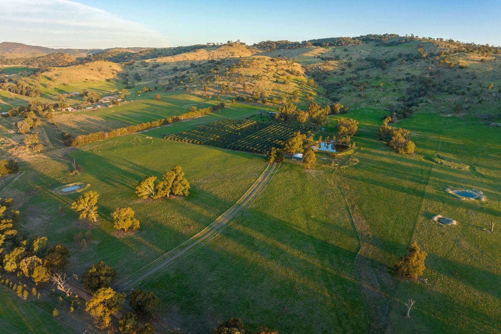 Best Hobby Farms For Sale Victoria