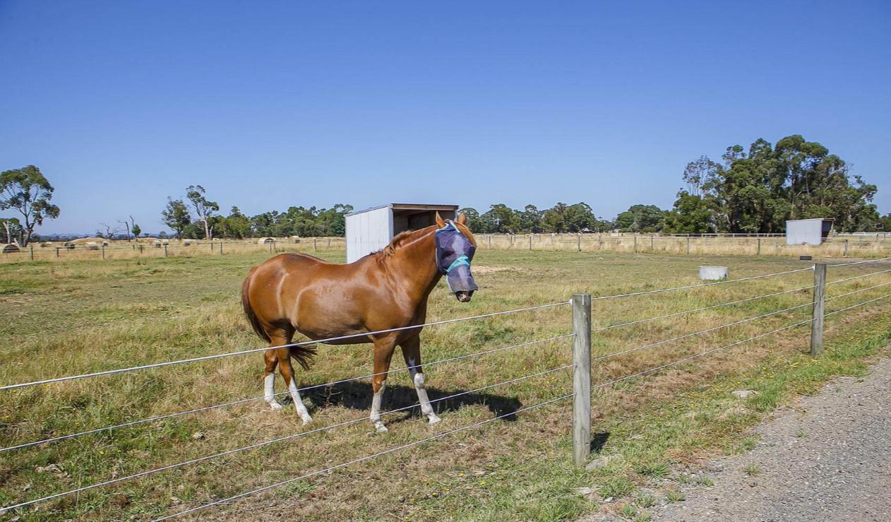 Best Hobby Farms For Sale Victoria