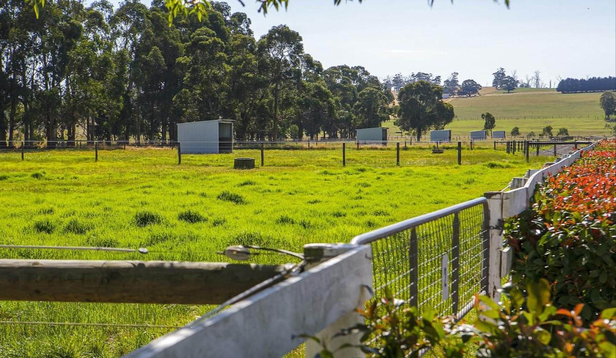 Discover The Best Hobby Farms For Sale In Victoria