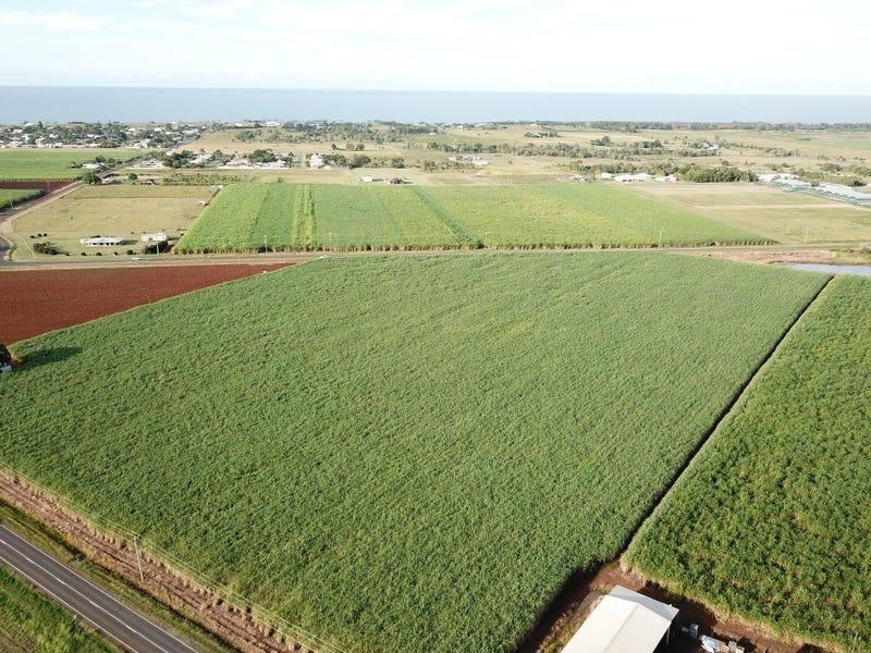 Macadamia Farms For Sale