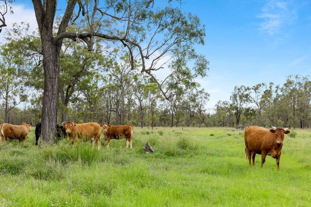 Best Performing Regions For Cattle Stations For Sale