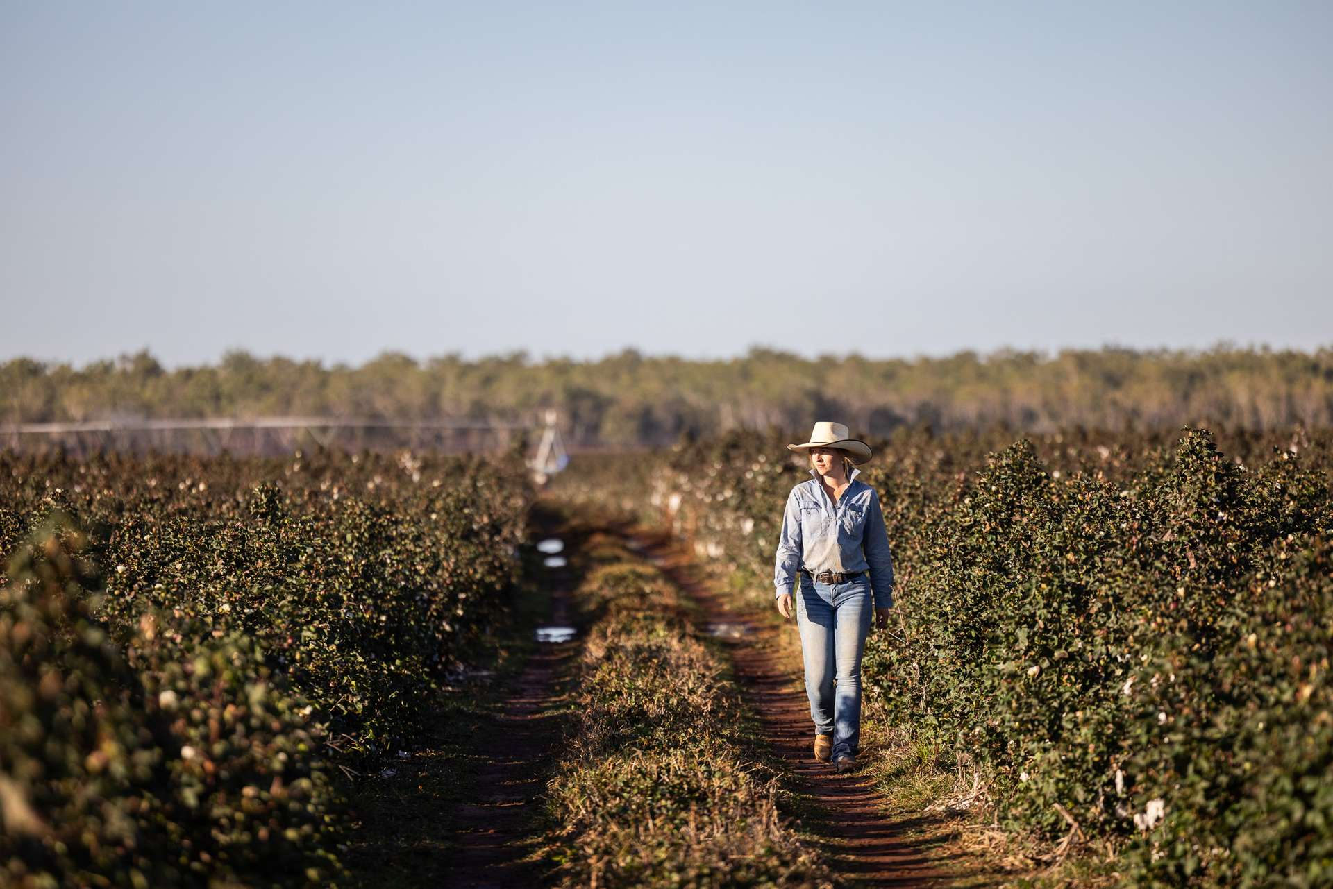 mixed farm for sale Northern Territory