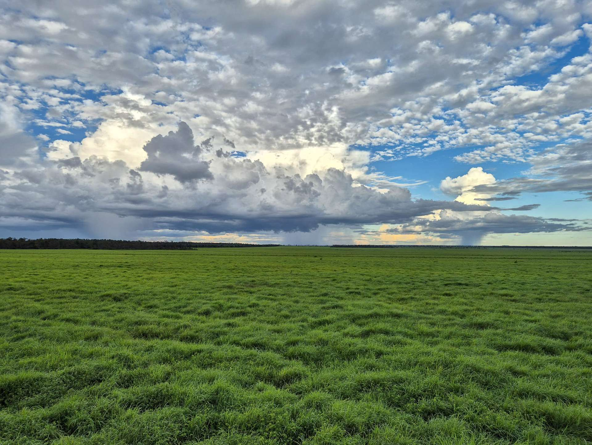 mixed farm for sale Northern Territory
