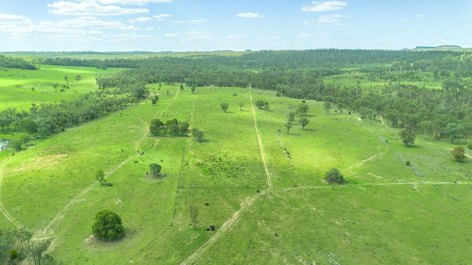 cattle property for sale QLD
