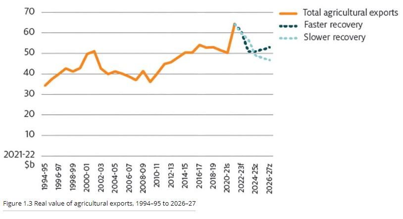 cattle sales australia