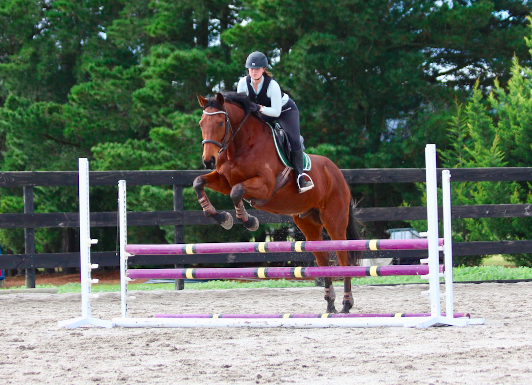 horse properties for sale for competitive riders