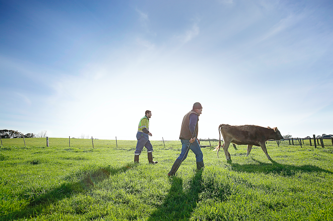 Farms For Sale South West Victoria