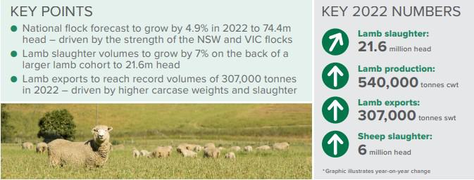 sheep sales australia