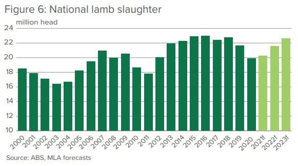 sheep sales australia