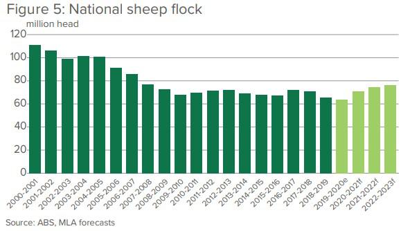 sheep sales australia