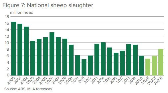 sheep sales australia