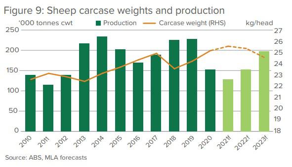 sheep sales australia