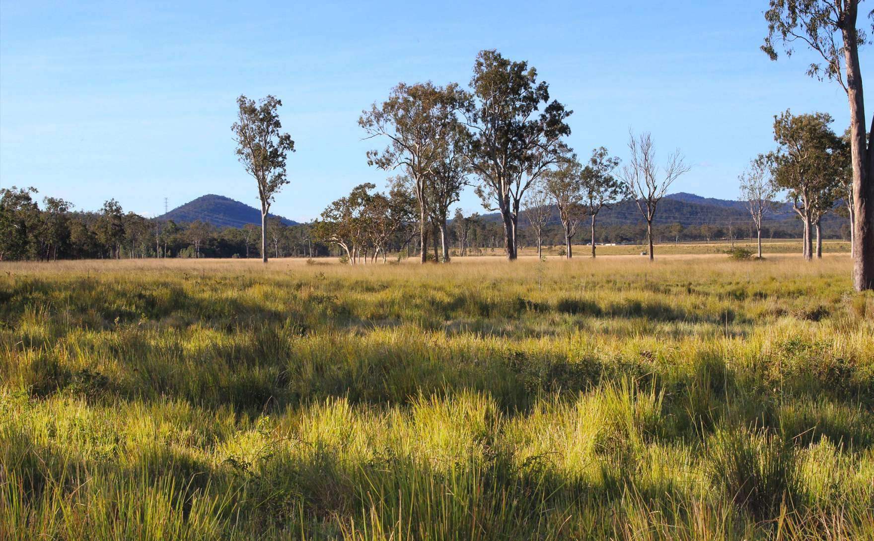 rural property for sale QLD
