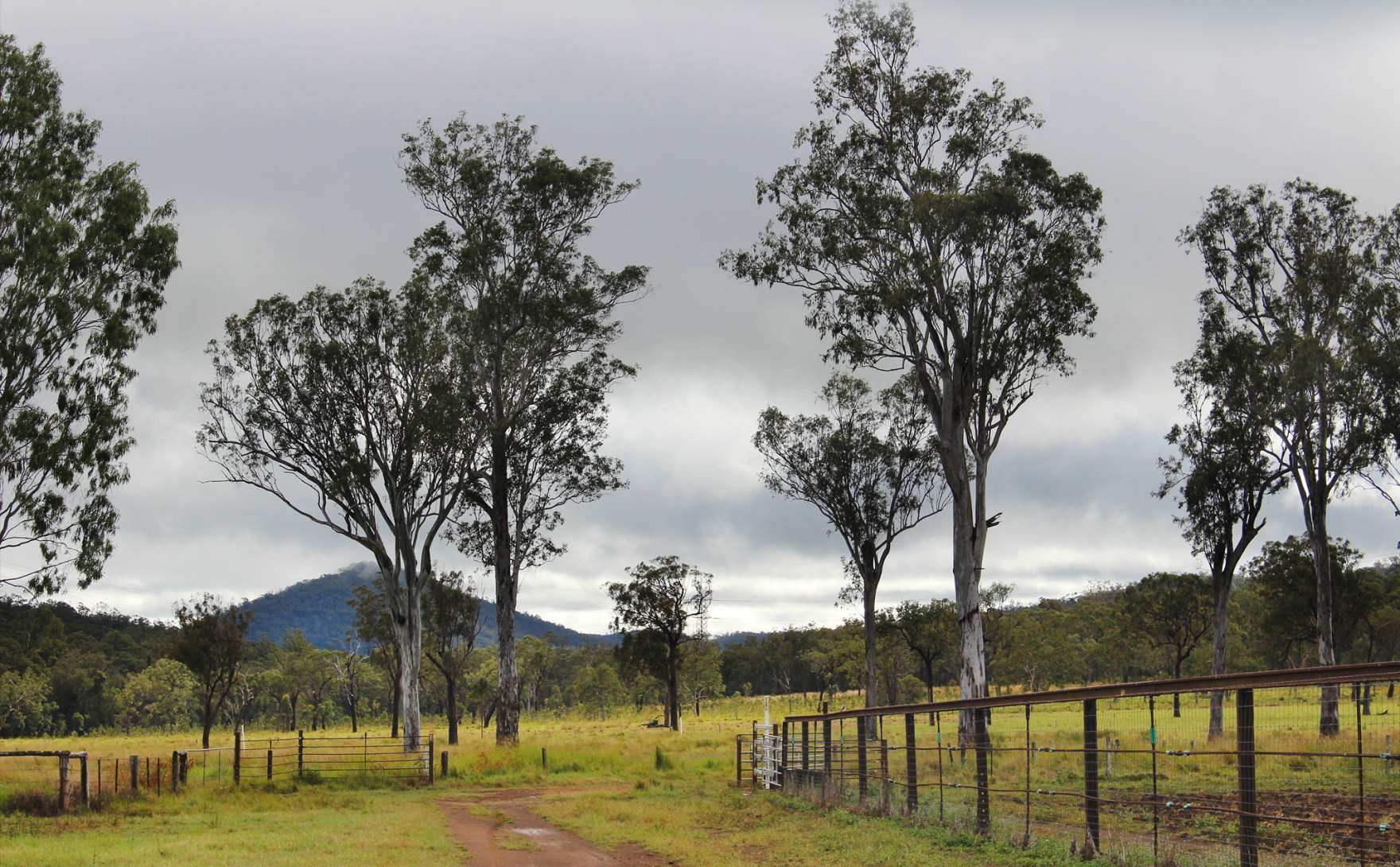 rural property for sale QLD