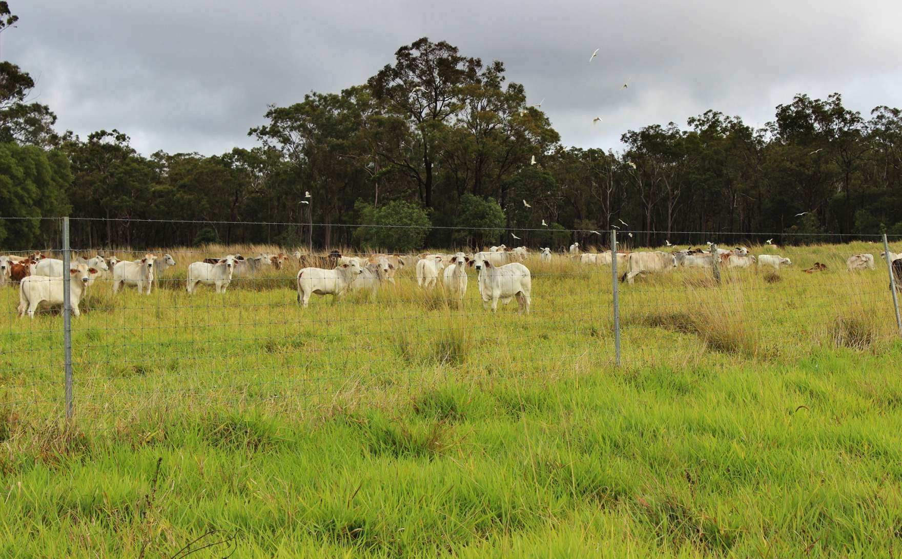 rural property for sale QLD