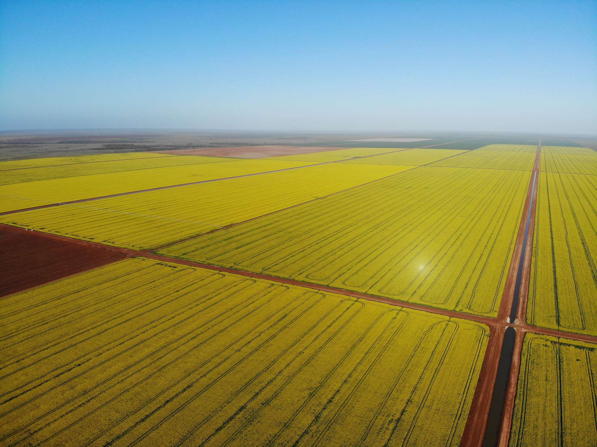 Farms For Sale NSW