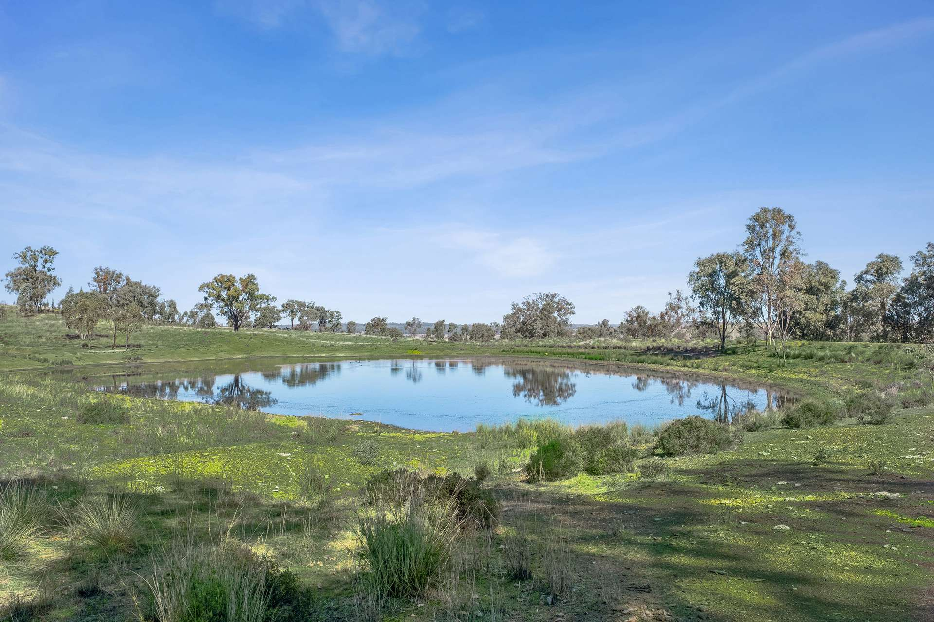 Farm For Sale South East QLD