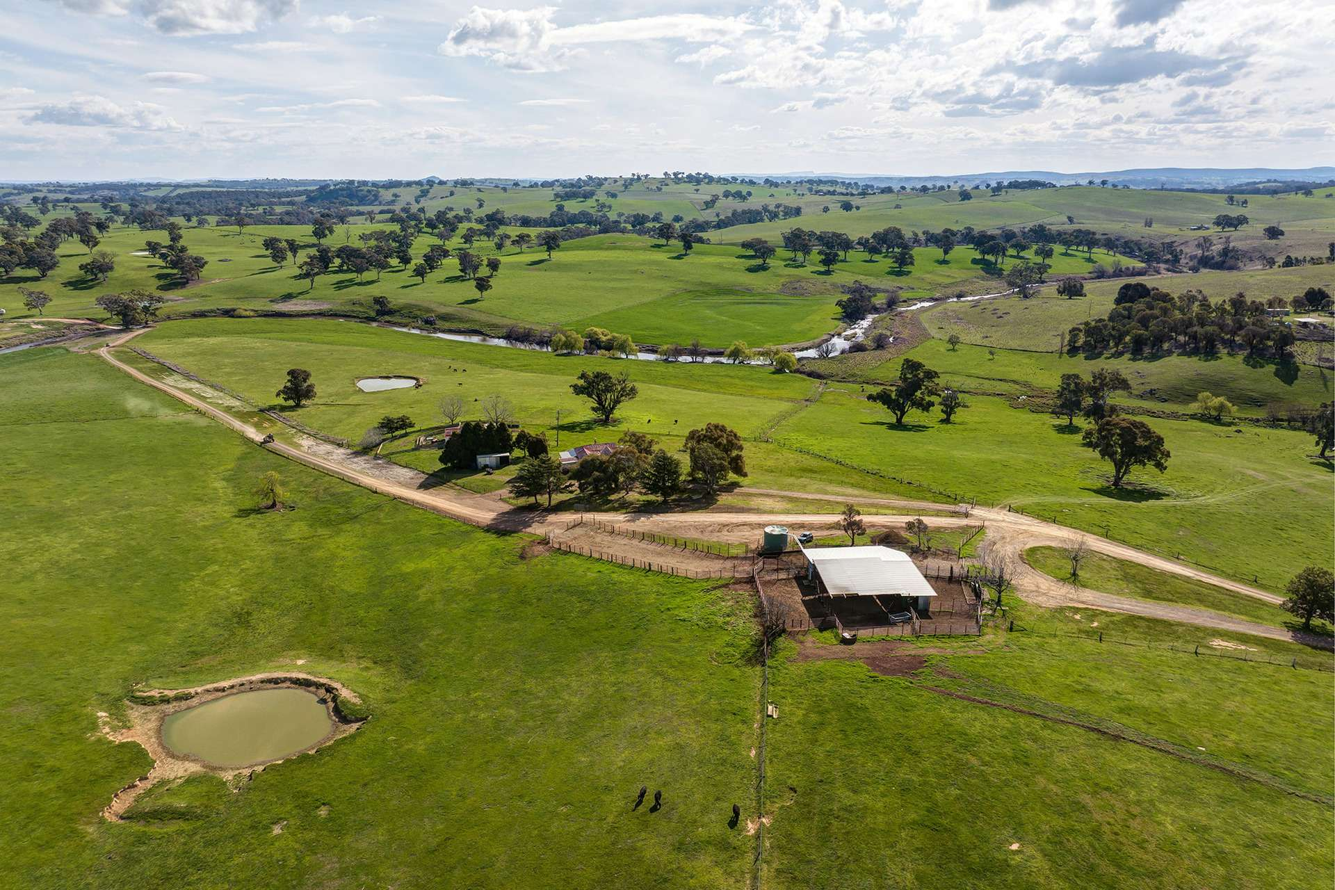 farm for sale NSW