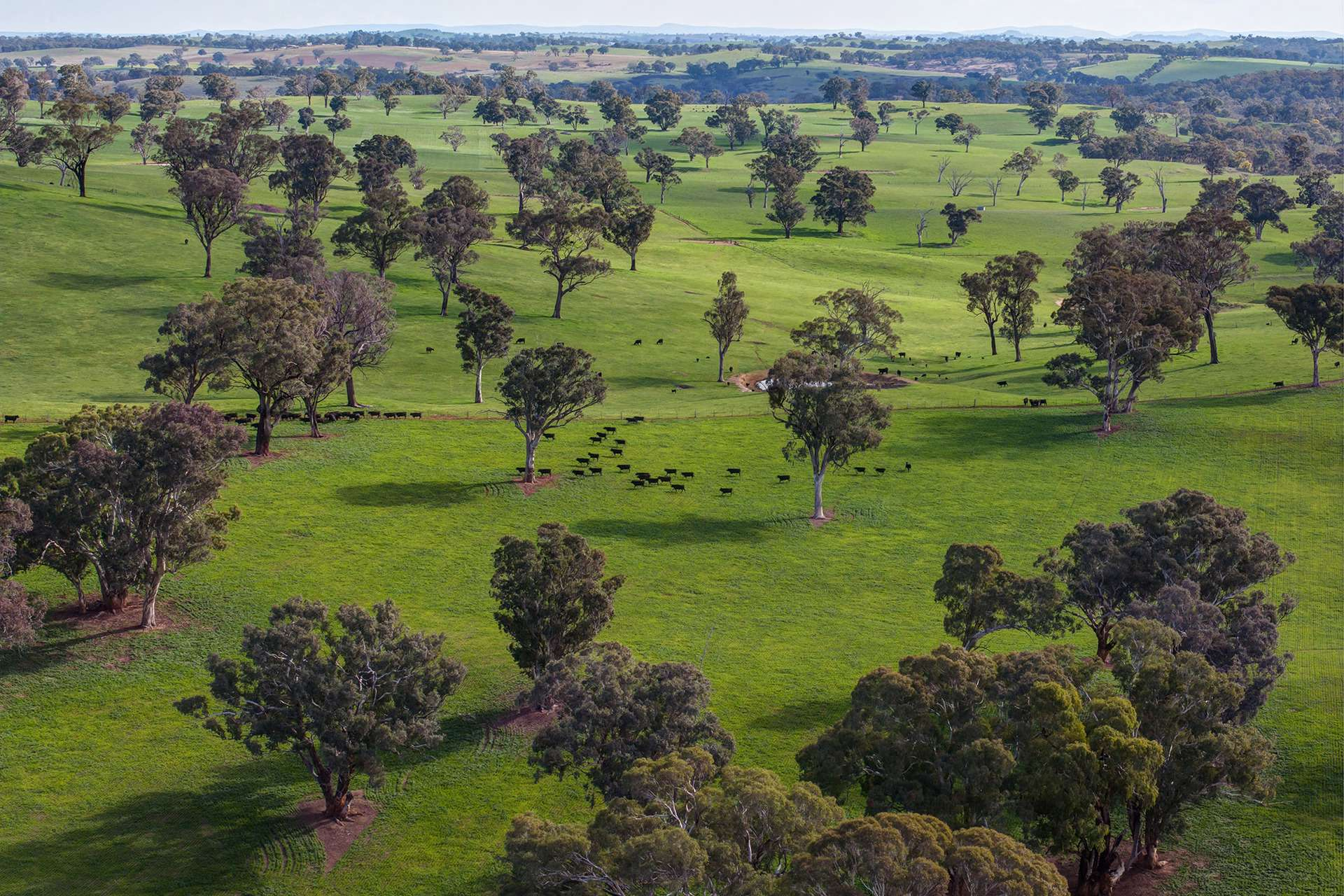 farm for sale NSW