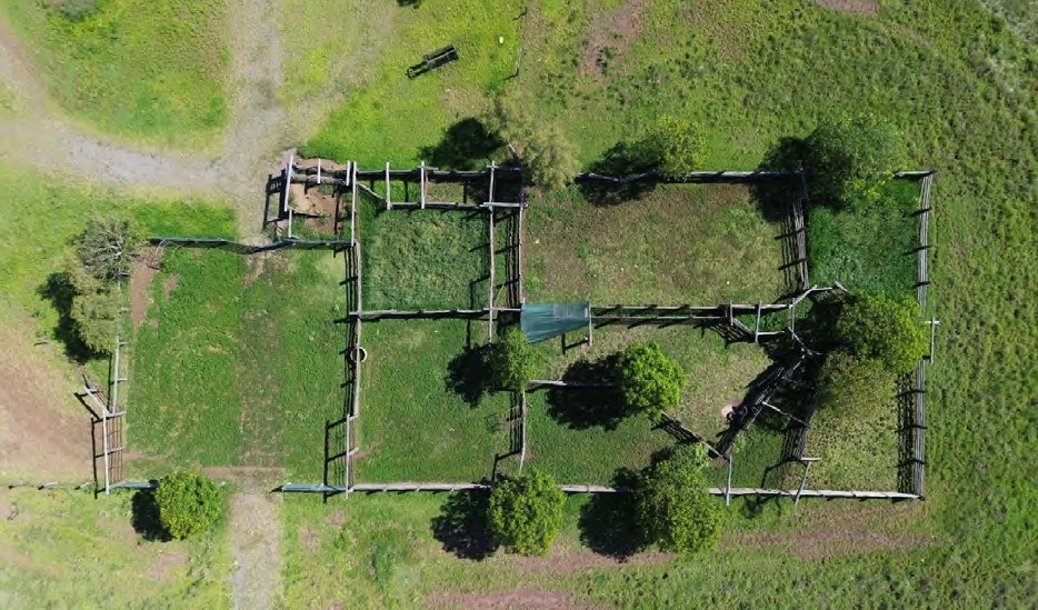 Cattle Property For Sale QLD