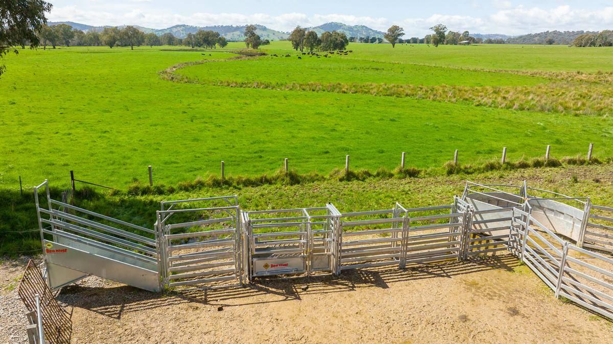 Cattle Stations For Sale