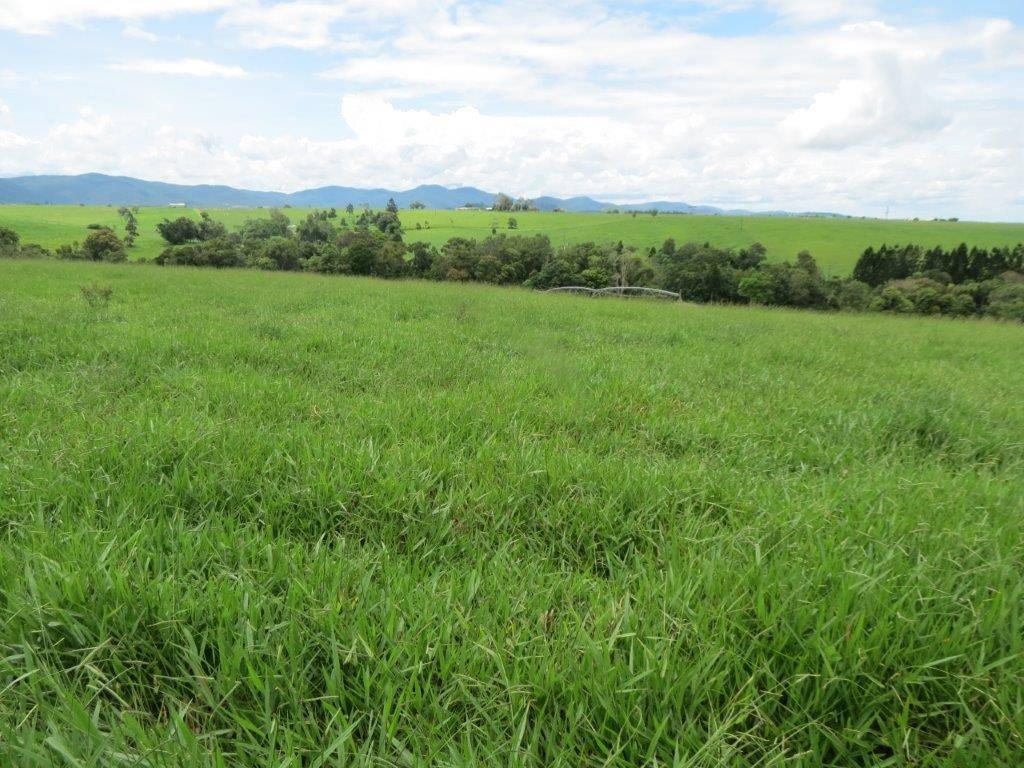 Cattle Stations For Sale QLD